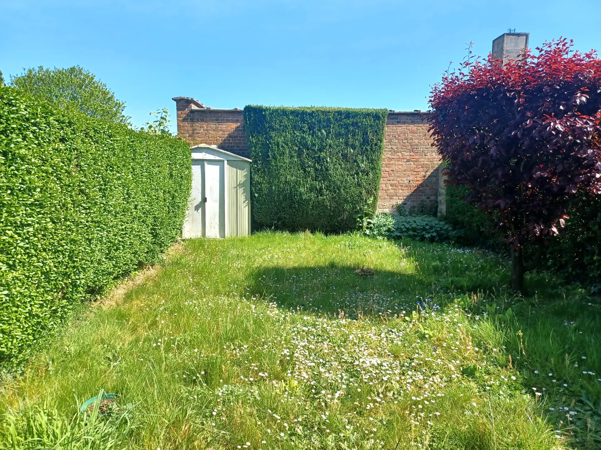Photo 10
